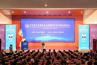 文章附图